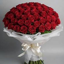 Букет 101 Красная роза Блэк Мэджик в Родниковском