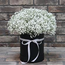 Цветочная композиция из Гипсофила в шляпной коробке #REPLACE_PRED# Родниковском