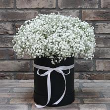 Цветочная композиция из Гипсофила в шляпной коробке в Родниковском